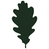 Picto Feuille de chêne