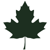 Picto Feuille d'érable